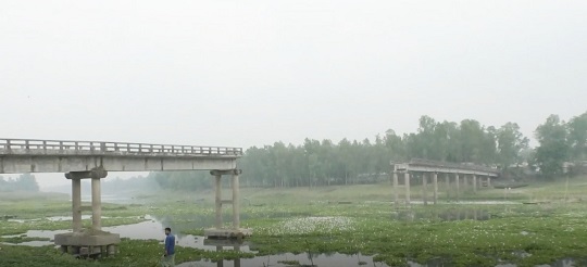 image-here
